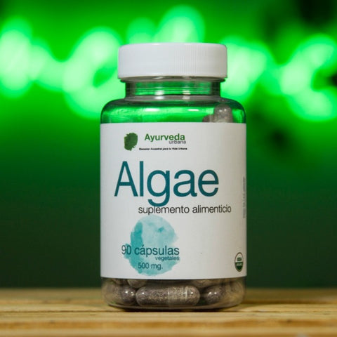 Algae orgánico 90 cápsulas vegetales