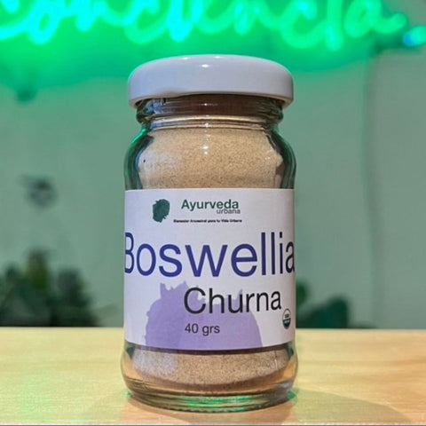 Boswellia en Churna 40 g Resina Ayurvédica Tradicional