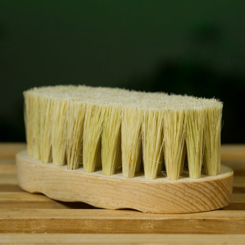 Cepillo corporal Corto