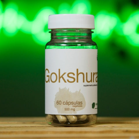 Gokshura orgánica 60 cápsulas vegetales
