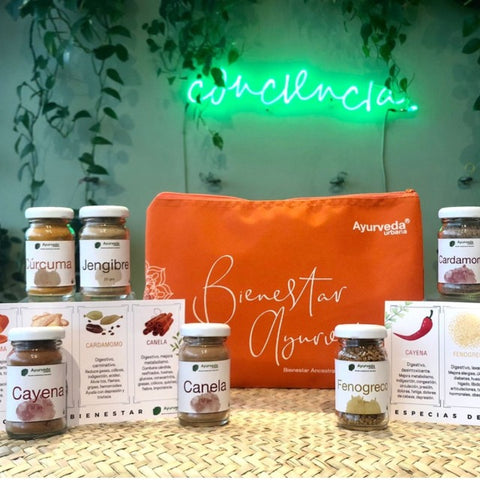 Kit de Especias #1
