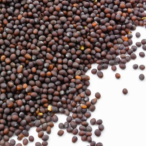 Semillas de Mostaza morada orgánicas 40 g